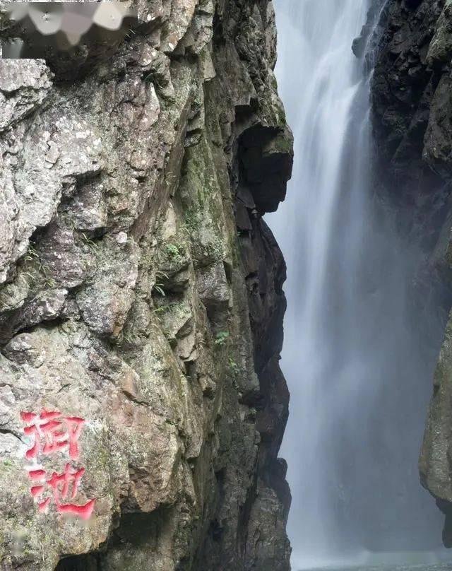 救援花栗鼠